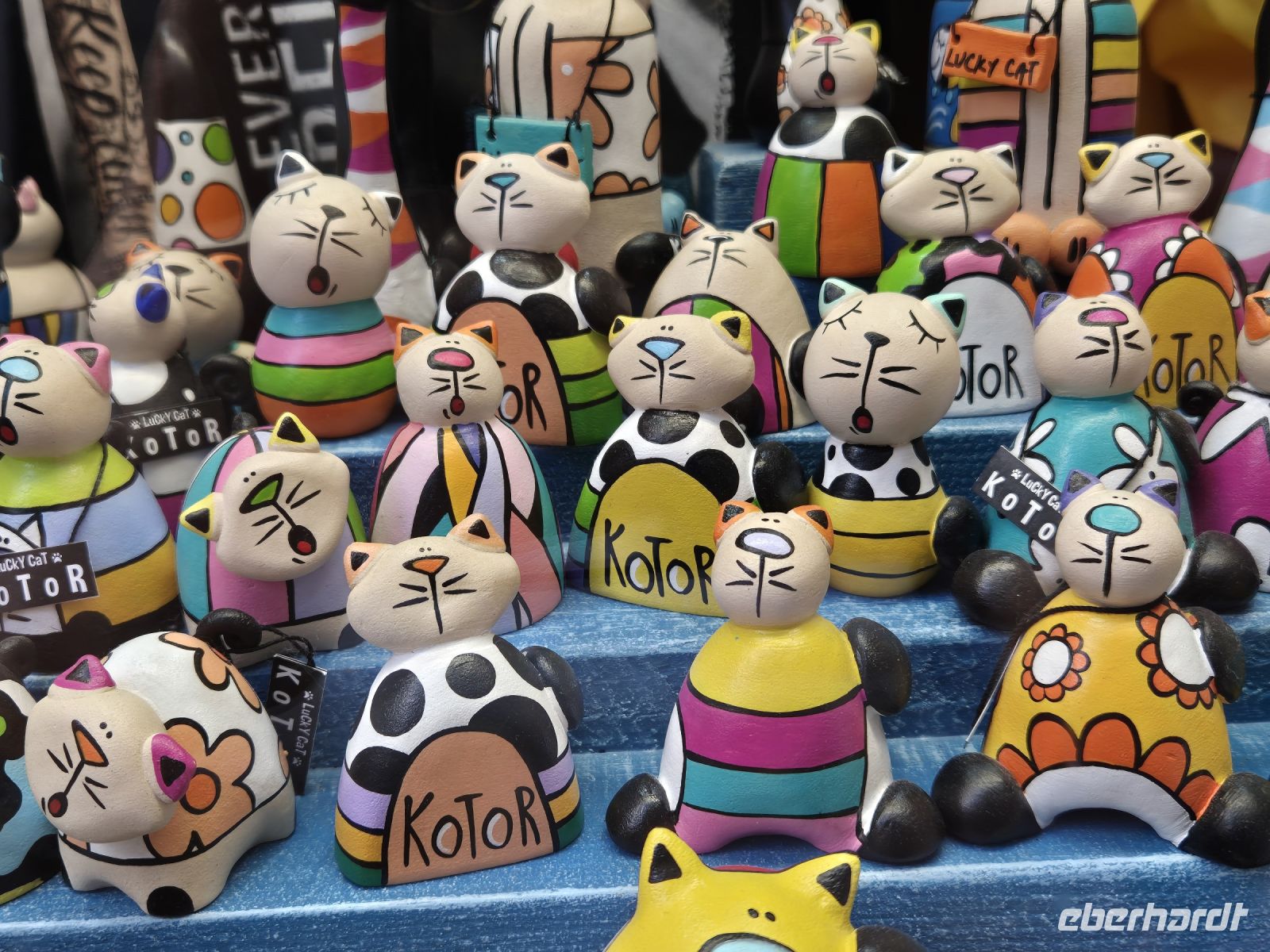 Tag 8 - Stadtbesichtigung - Kotor - Stadt der Katzen (7)