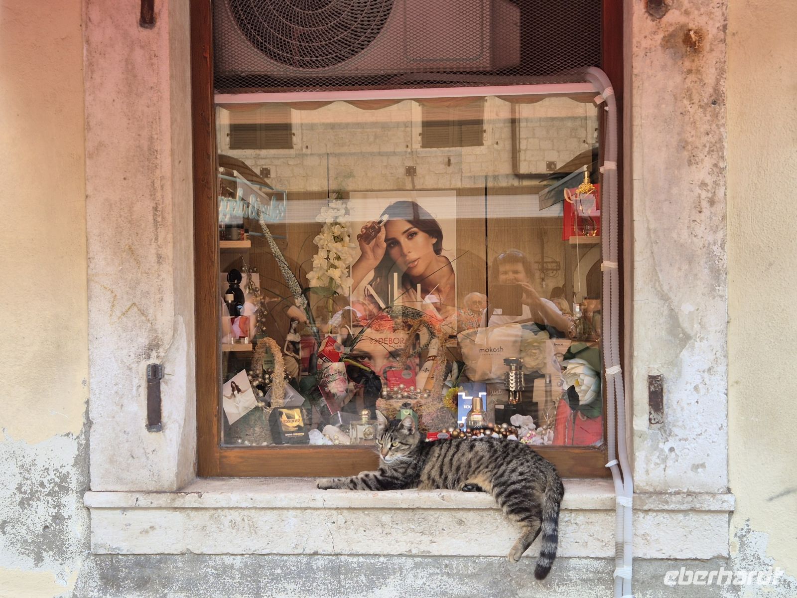 Tag 8 - Stadtbesichtigung - Kotor - Stadt der Katzen (8)