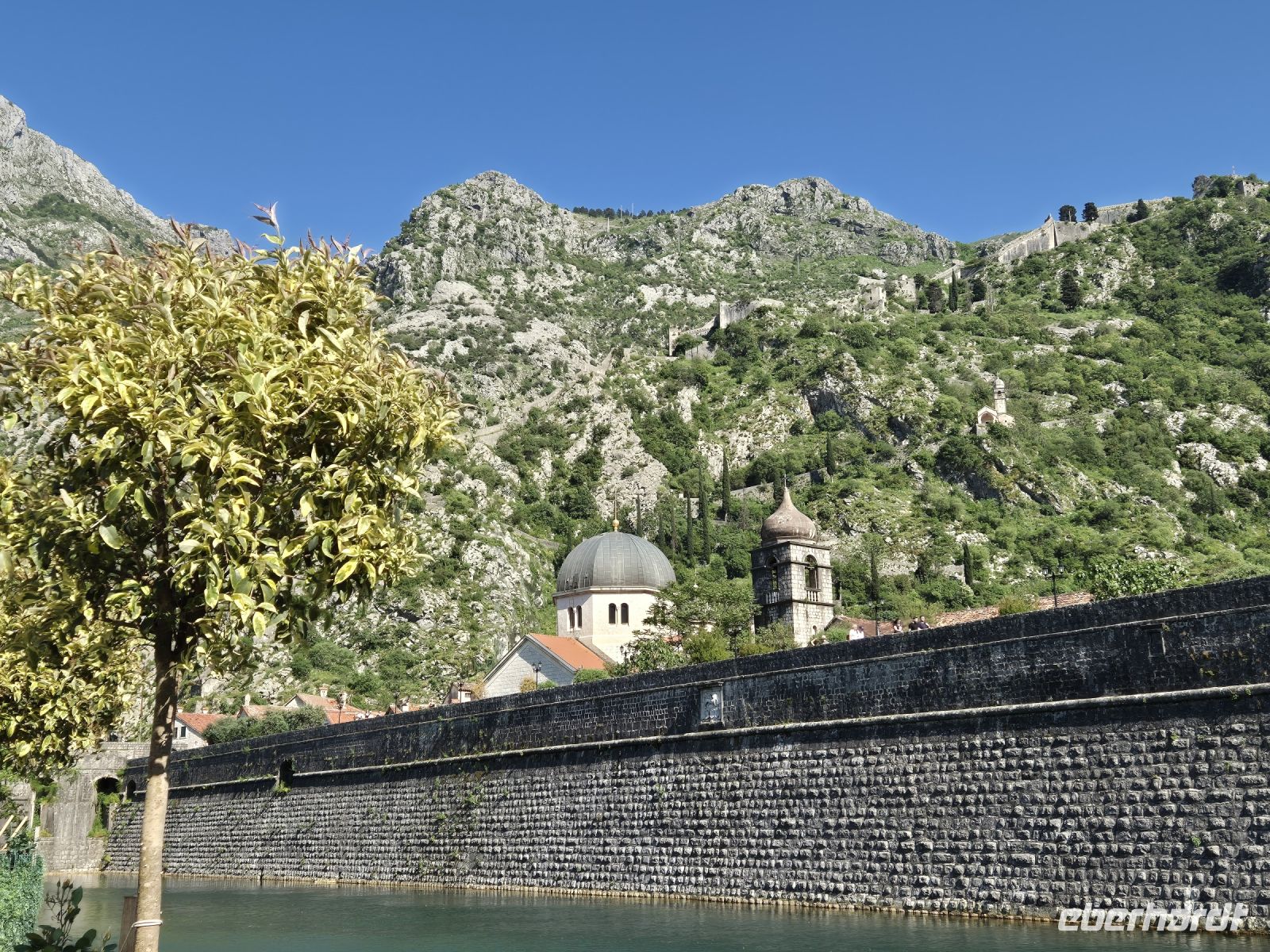 Tag 8 - Stadtrundgang - Kotor (4)