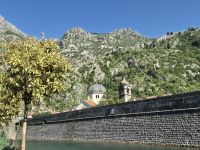 Tag 8 - Stadtrundgang - Kotor (4)