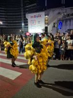 Tag 9 - Budva - Karneval (3)