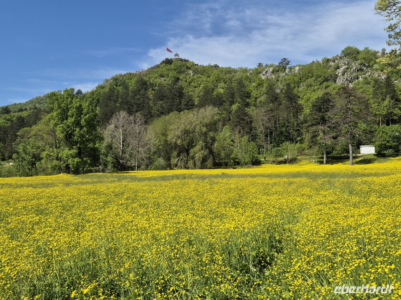 Tag 9 - Cetinje - alte Hauptstadt - Stadtbesichtigung (3)