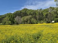 Tag 9 - Cetinje - alte Hauptstadt - Stadtbesichtigung (3)