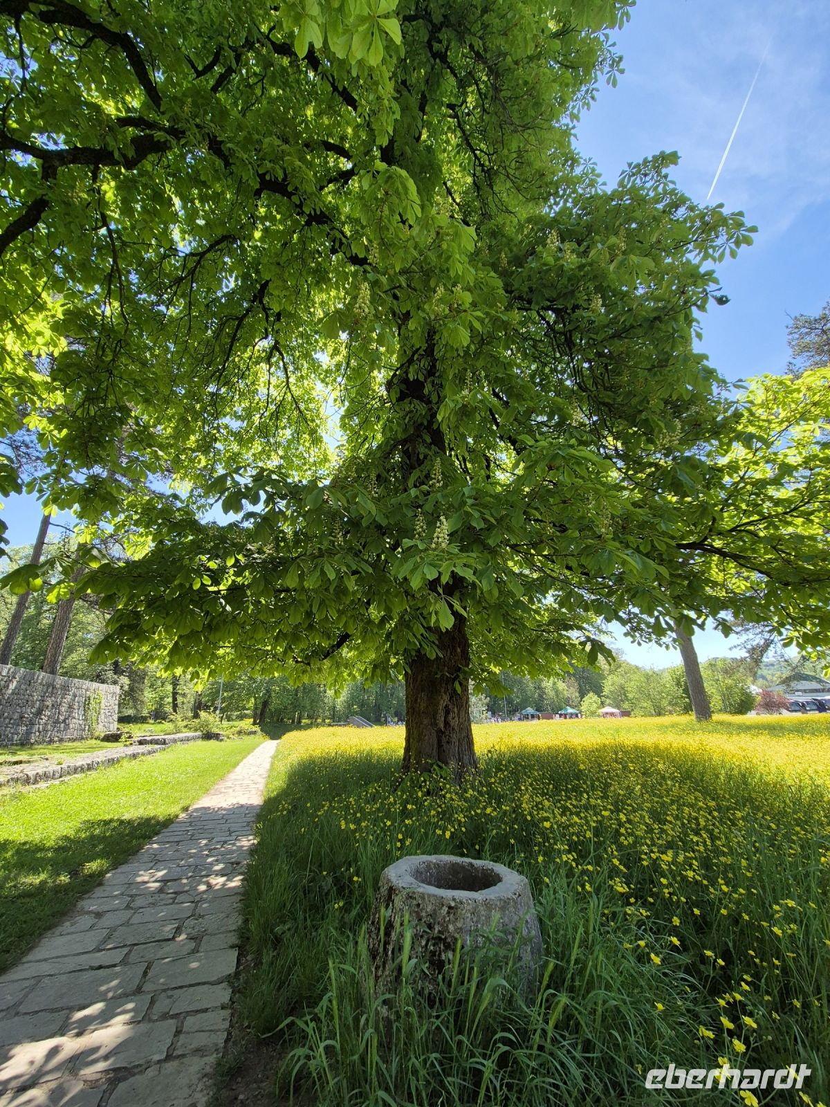 Tag 9 - Cetinje - alte Hauptstadt - Stadtbesichtigung (4)