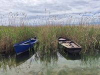 Tag 11 - Ohrid - Stadtbesichtigung  - Eindrücke (39)