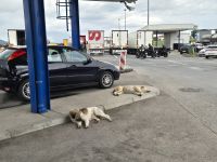 Tag 13 - die letzte Grenze