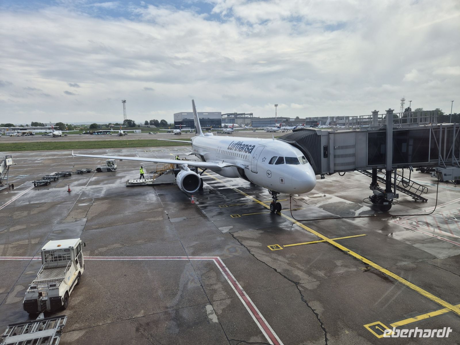 Tag 14 - Heimkehr (2)