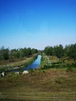 Slavonija - auf dem Weg nach Novi Sad