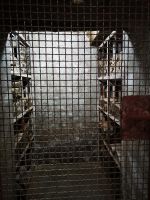 die Weinschätze tief im Weinkeller 