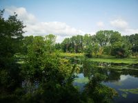 Impressionismus pur - ala Natur