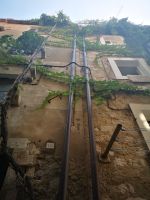 Die Rebe findet ihr Weg zur Sonne