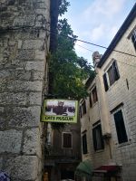 Katzenmuseum - gewidmet vielen Katzen in der Stadt 