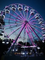 Alles für den Vergnügen - Budva