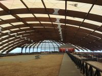 Nur ein Teil ist erst freigelegt, der Rest wartet noch 