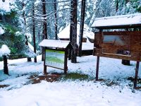 Im Ethnodorf Sirogojno