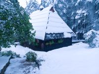 Altes serbisches Bauernhaus