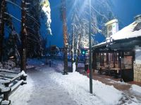 Winter in Zlatibor