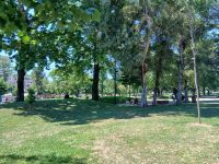 Tirana -