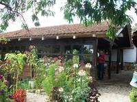 Mittagessen bei Topola