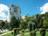 Tirana