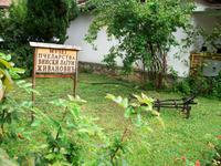 Sremski Karlovci, Bienenmuseum