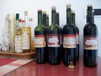 Sremski Karlovci, Weinprobe