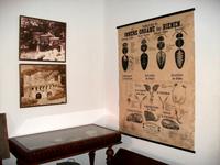 Bienenmuseum