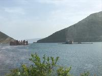 Bucht von Kotor 
