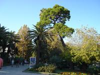 Budva: Rundgang
