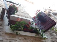 Budva