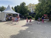 Guglhupffest in Sremski Karlovci