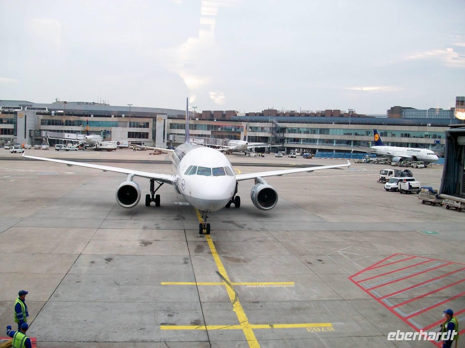 Heimflug