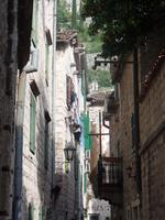 Kotor