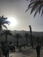 Kotor