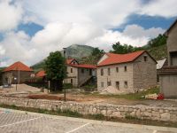 Njegusi