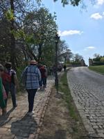 Novi Sad 
