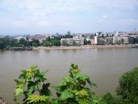 Novi Sad