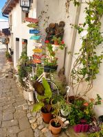 Ohrid