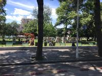 Tirana