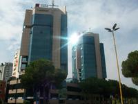Tirana