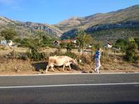 Trebinje