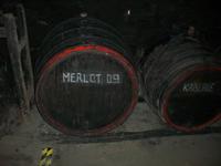 Weinprobe