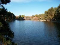 Zlatibor
