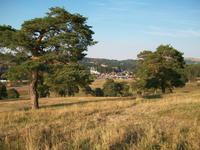 Zlatiborgebirge