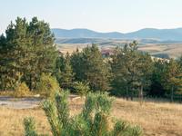 Zlatiborgebirge