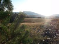 Zlatiborgebirge