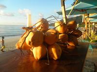 Coral Strand Hotel Mahé