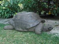 New Emerald Cove Hotel auf Praslin