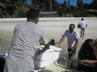 Ausflug Drei Inseln: Cousin, Curieuse und St. Pierre