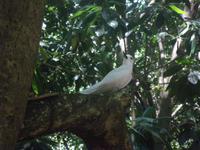 Ausflug Drei Inseln: Cousin, Curieuse und St. Pierre